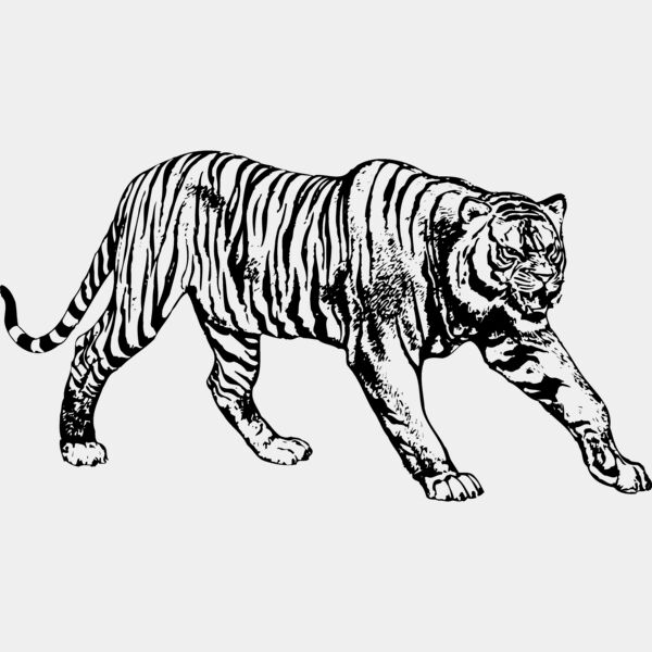 TIGER005 Thumbnail